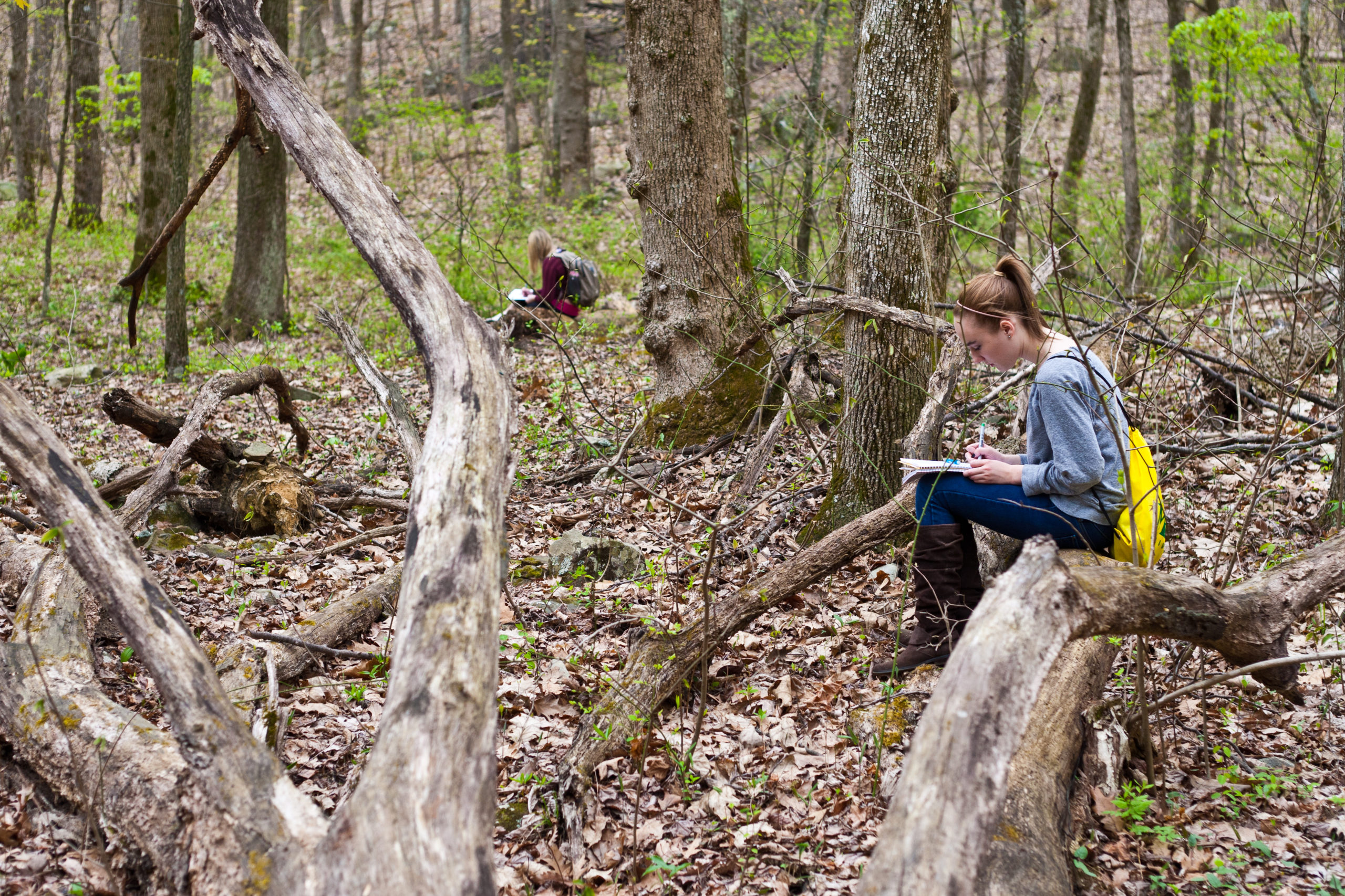 Freshmen Cornerstones students take part in field tirp to Mason's Environmental Studies on the Piedmont, where they observed nature and took field notes on their observations.