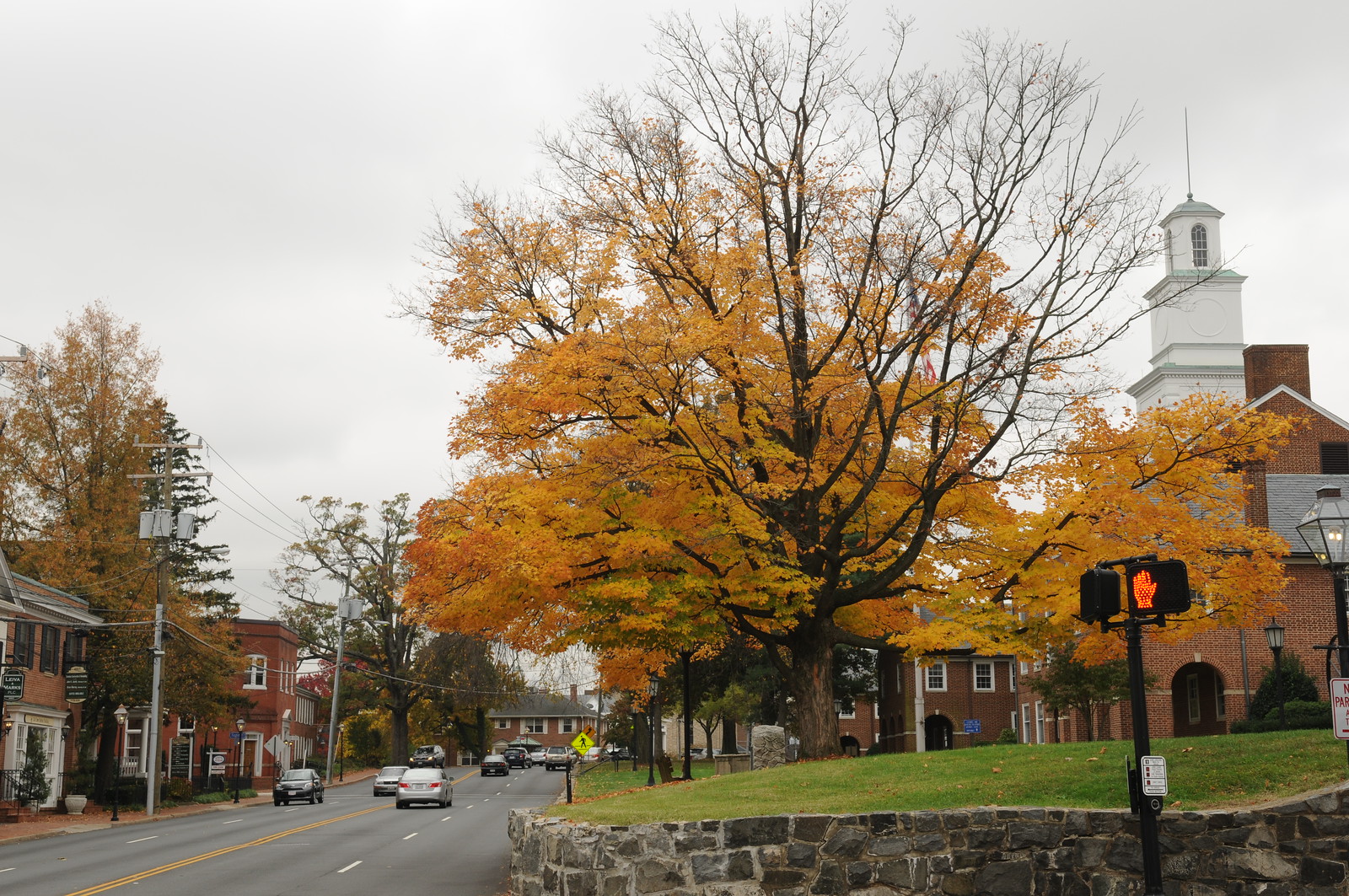 Top 5 Study Spots in Fairfax Admissions Events