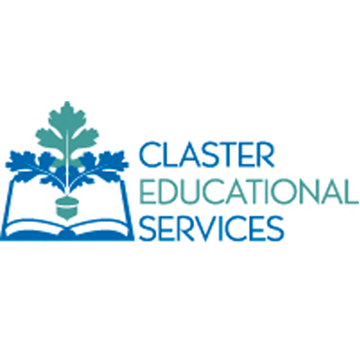 Claster Educational Services
