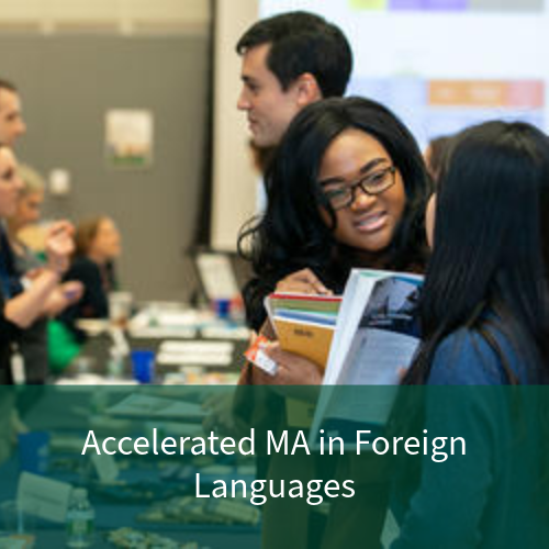 Foreign Language Programs (BAM)