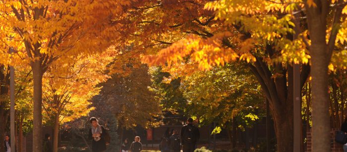 Students walking to class in the Fall.